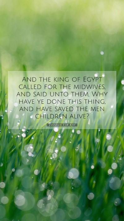 Picture 07 - Exodus 1:18 KJV Mobile Phone Wallpaper - And the king of Egypt called for the midwives, - Mobile Bible Verse Wallpaper
