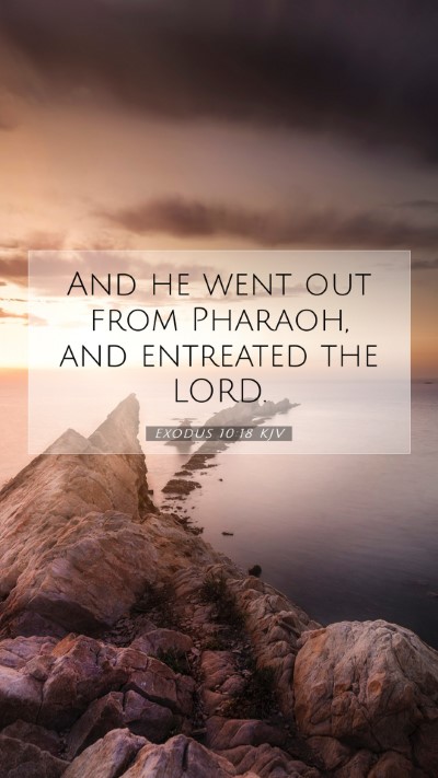 Picture 07 - Exodus 10:18 KJV Mobile Phone Wallpaper - And he went out from Pharaoh, and entreated the - Mobile Bible Verse Wallpaper