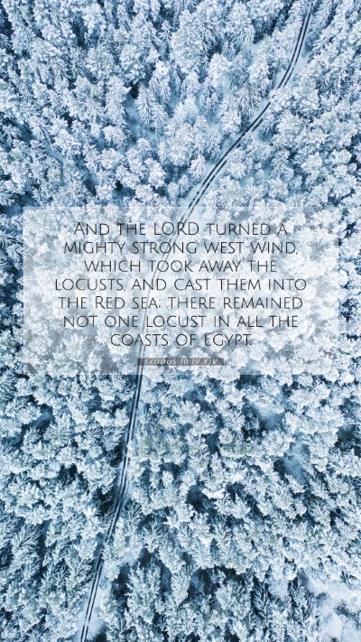 Picture 07 - Exodus 10:19 KJV Mobile Phone Wallpaper - And the LORD turned a mighty strong west wind, - Mobile Bible Verse Wallpaper