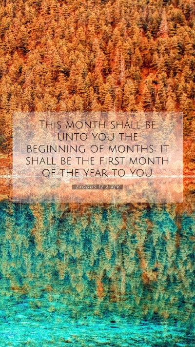 Picture 07 - Exodus 12:2 KJV Mobile Phone Wallpaper - This month shall be unto you the beginning of - Mobile Bible Verse Wallpaper