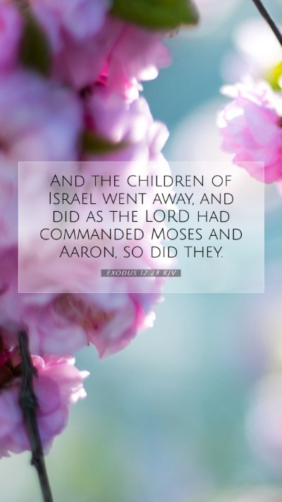 Picture 07 - Exodus 12:28 KJV Mobile Phone Wallpaper - And the children of Israel went away, and did as - Mobile Bible Verse Wallpaper