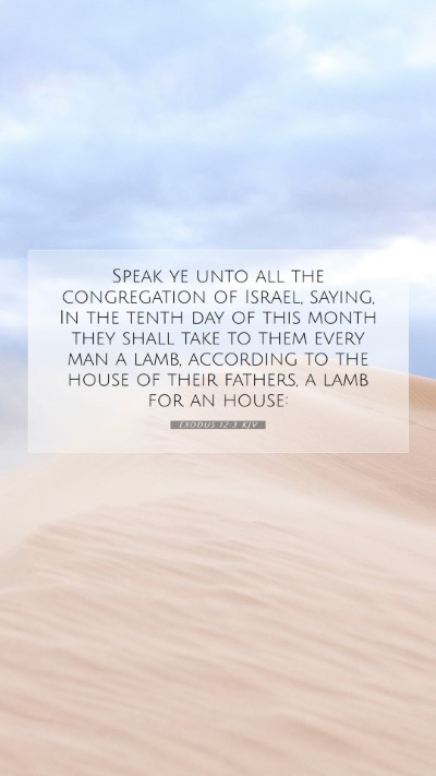 Picture 07 - Exodus 12:3 KJV Mobile Phone Wallpaper - Speak ye unto all the congregation of Israel, - Mobile Bible Verse Wallpaper