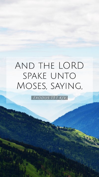Picture 07 - Exodus 13:1 KJV Mobile Phone Wallpaper - And the LORD spake unto Moses, - Mobile Bible Verse Wallpaper