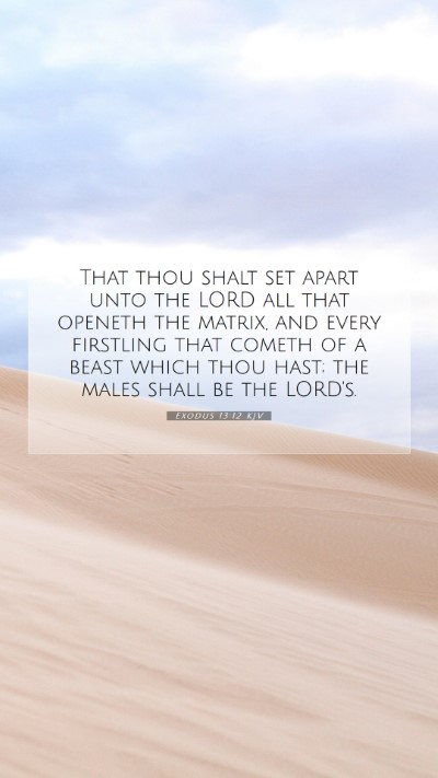 Picture 07 - Exodus 13:12 KJV Mobile Phone Wallpaper - That thou shalt set apart unto the LORD all that - Mobile Bible Verse Wallpaper