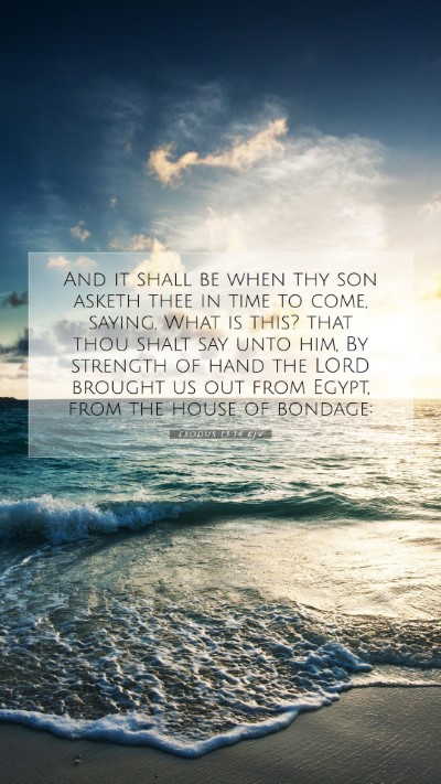 Picture 07 - Exodus 13:14 KJV Mobile Phone Wallpaper - And it shall be when thy son asketh thee in time - Mobile Bible Verse Wallpaper