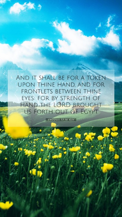 Picture 07 - Exodus 13:16 KJV Mobile Phone Wallpaper - And it shall be for a token upon thine hand, and - Mobile Bible Verse Wallpaper