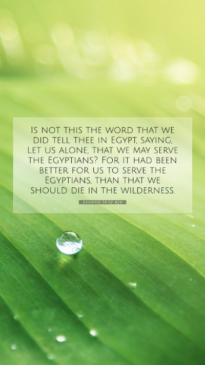 Picture 07 - Exodus 14:12 KJV Mobile Phone Wallpaper - Is not this the word that we did tell thee in - Mobile Bible Verse Wallpaper