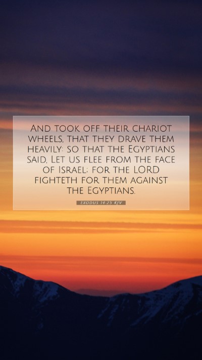 Picture 07 - Exodus 14:25 KJV Mobile Phone Wallpaper - And took off their chariot wheels, that they - Mobile Bible Verse Wallpaper