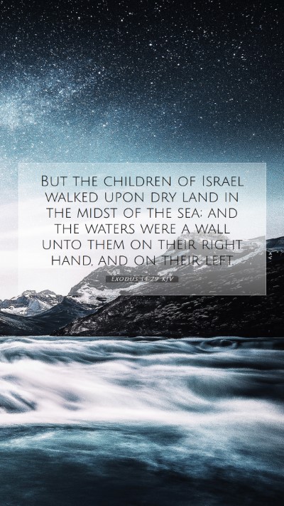 Picture 07 - Exodus 14:29 KJV Mobile Phone Wallpaper - But the children of Israel walked upon dry land - Mobile Bible Verse Wallpaper