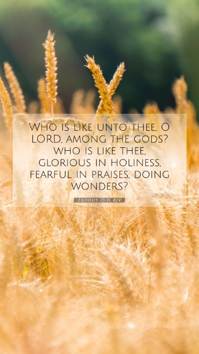 Picture 07 - Exodus 15:11 KJV Mobile Phone Wallpaper - Who is like unto thee, O LORD, among the gods? - Mobile Bible Verse Wallpaper