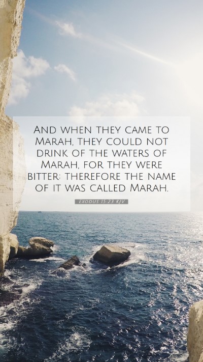 Picture 07 - Exodus 15:23 KJV Mobile Phone Wallpaper - And when they came to Marah, they could not drink - Mobile Bible Verse Wallpaper