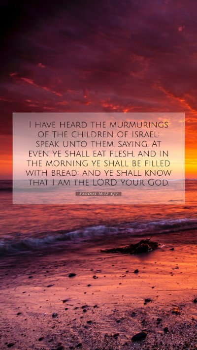 Picture 07 - Exodus 16:12 KJV Mobile Phone Wallpaper - I have heard the murmurings of the children of - Mobile Bible Verse Wallpaper