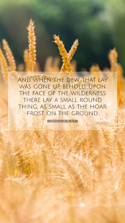 Picture 07 - Exodus 16:14 KJV Mobile Phone Wallpaper - And when the dew that lay was gone up, behold, - Mobile Bible Verse Wallpaper