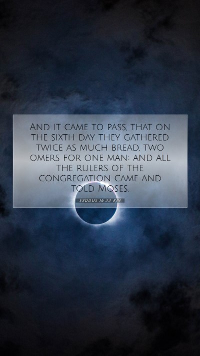 Picture 07 - Exodus 16:22 KJV Mobile Phone Wallpaper - And it came to pass, that on the sixth day they - Mobile Bible Verse Wallpaper