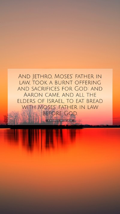 Picture 07 - Exodus 18:12 KJV Mobile Phone Wallpaper - And Jethro, Moses' father in law, took a burnt - Mobile Bible Verse Wallpaper