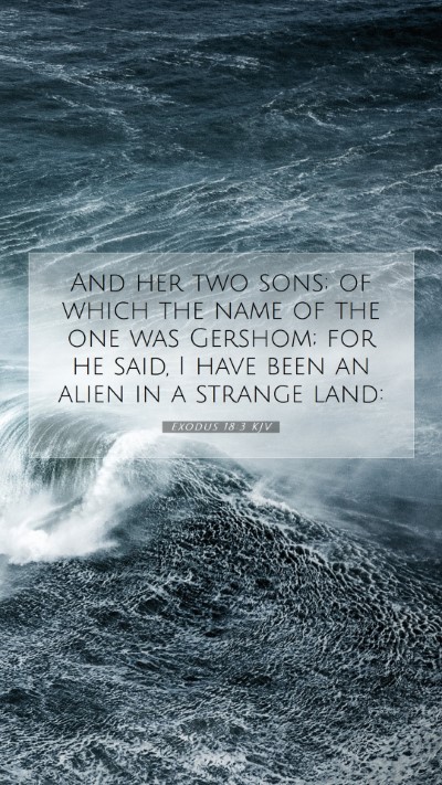 Picture 07 - Exodus 18:3 KJV Mobile Phone Wallpaper - And her two sons; of which the name of the one - Mobile Bible Verse Wallpaper