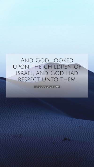 Picture 07 - Exodus 2:25 KJV Mobile Phone Wallpaper - And God looked upon the children of Israel, and - Mobile Bible Verse Wallpaper