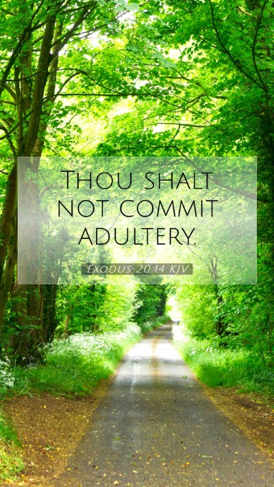 Picture 07 - Exodus 20:14 KJV Mobile Phone Wallpaper - Thou shalt not commit - Mobile Bible Verse Wallpaper