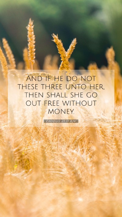 Picture 07 - Exodus 21:11 KJV Mobile Phone Wallpaper - And if he do not these three unto her, then shall - Mobile Bible Verse Wallpaper