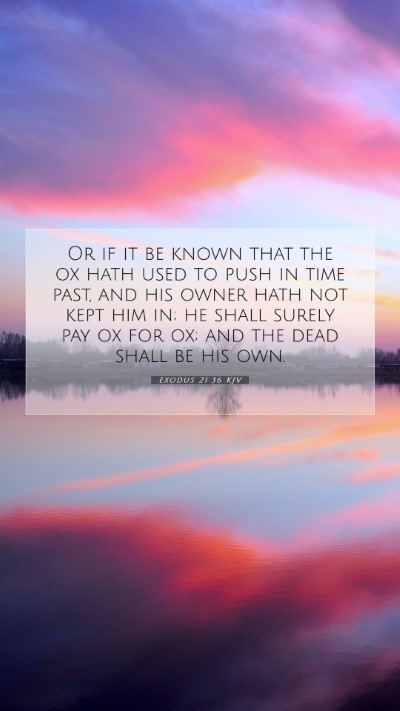 Picture 07 - Exodus 21:36 KJV Mobile Phone Wallpaper - Or if it be known that the ox hath used to push - Mobile Bible Verse Wallpaper