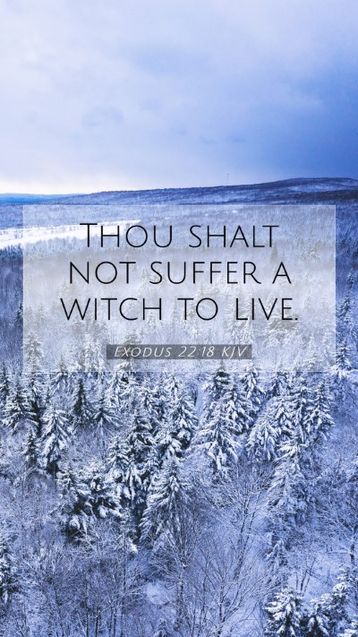 Picture 07 - Exodus 22:18 KJV Mobile Phone Wallpaper - Thou shalt not suffer a witch to - Mobile Bible Verse Wallpaper