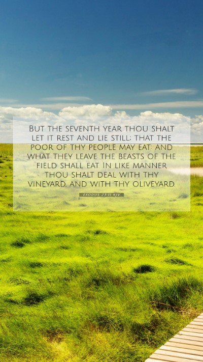 Picture 07 - Exodus 23:11 KJV Mobile Phone Wallpaper - But the seventh year thou shalt let it rest and - Mobile Bible Verse Wallpaper