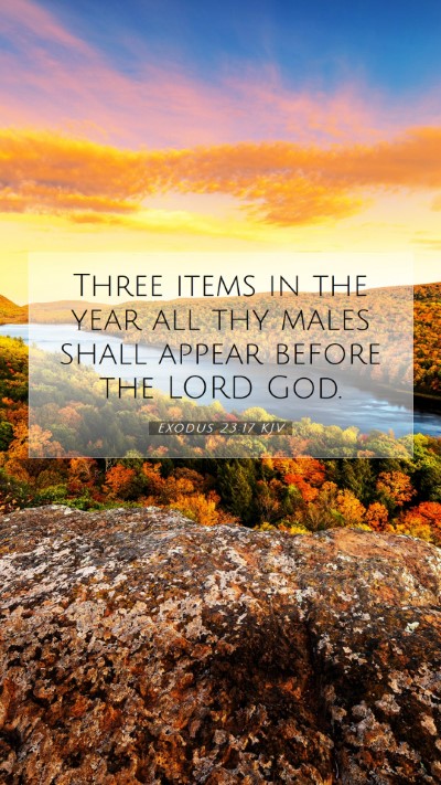 Picture 07 - Exodus 23:17 KJV Mobile Phone Wallpaper - Three items in the year all thy males shall - Mobile Bible Verse Wallpaper