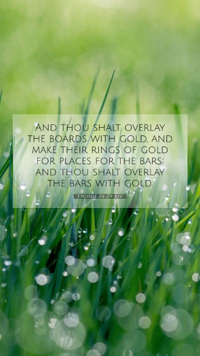 Picture 07 - Exodus 26:29 KJV Mobile Phone Wallpaper - And thou shalt overlay the boards with gold, and - Mobile Bible Verse Wallpaper