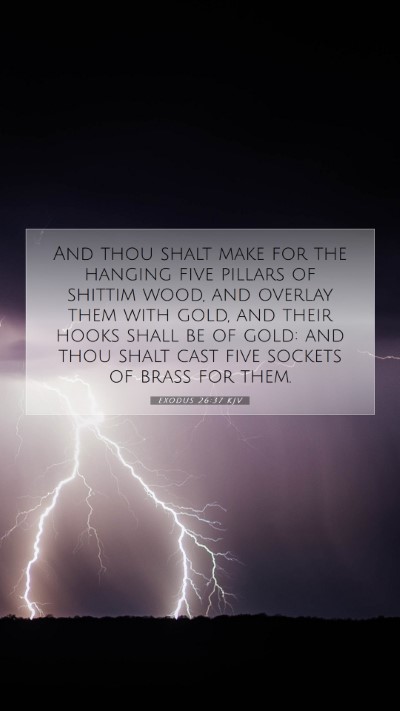 Picture 07 - Exodus 26:37 KJV Mobile Phone Wallpaper - And thou shalt make for the hanging five pillars - Mobile Bible Verse Wallpaper