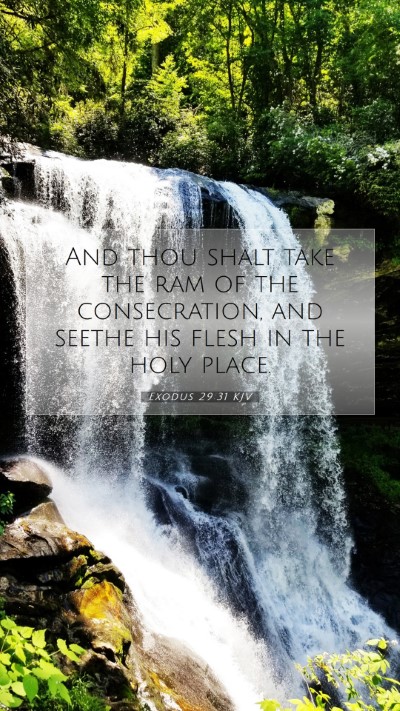 Picture 07 - Exodus 29:31 KJV Mobile Phone Wallpaper - And thou shalt take the ram of the consecration, - Mobile Bible Verse Wallpaper