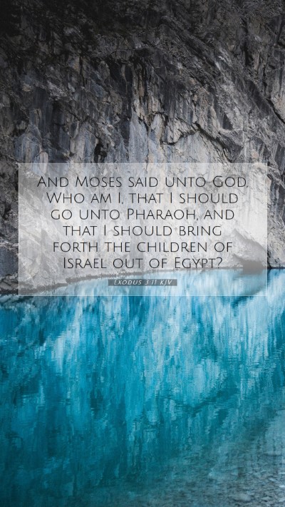Picture 07 - Exodus 3:11 KJV Mobile Phone Wallpaper - And Moses said unto God, Who am I, that I should - Mobile Bible Verse Wallpaper