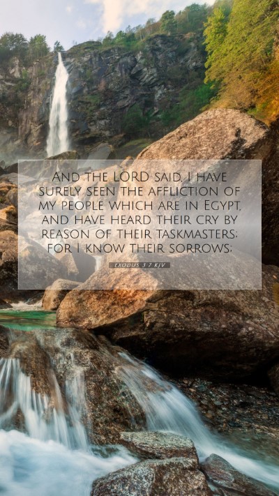 Picture 07 - Exodus 3:7 KJV Mobile Phone Wallpaper - And the LORD said, I have surely seen the - Mobile Bible Verse Wallpaper