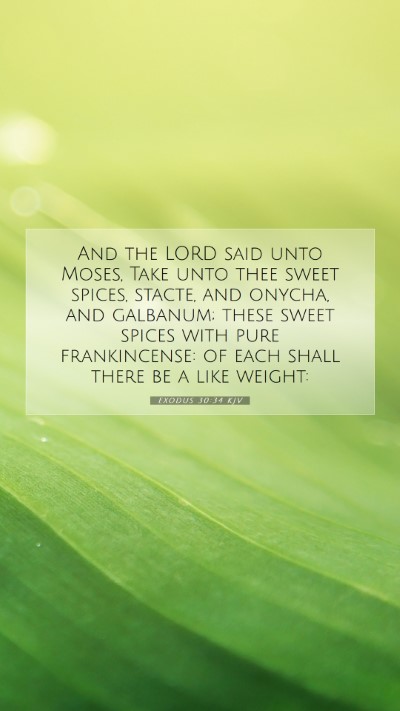 Picture 07 - Exodus 30:34 KJV Mobile Phone Wallpaper - And the LORD said unto Moses, Take unto thee - Mobile Bible Verse Wallpaper