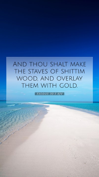 Picture 07 - Exodus 30:5 KJV Mobile Phone Wallpaper - And thou shalt make the staves of shittim wood, - Mobile Bible Verse Wallpaper