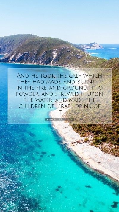 Picture 07 - Exodus 32:20 KJV Mobile Phone Wallpaper - And he took the calf which they had made, and - Mobile Bible Verse Wallpaper
