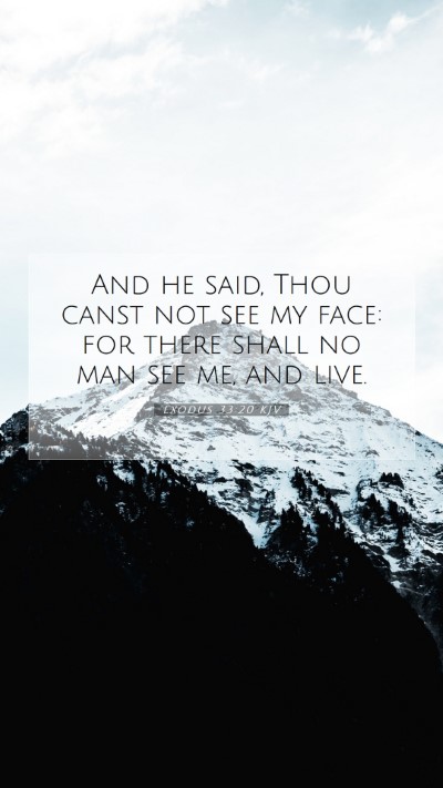 Picture 07 - Exodus 33:20 KJV Mobile Phone Wallpaper - And he said, Thou canst not see my face: for - Mobile Bible Verse Wallpaper