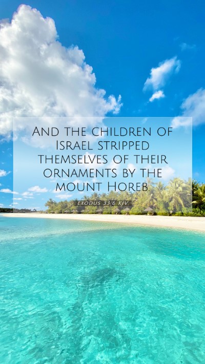 Picture 07 - Exodus 33:6 KJV Mobile Phone Wallpaper - And the children of Israel stripped themselves of - Mobile Bible Verse Wallpaper