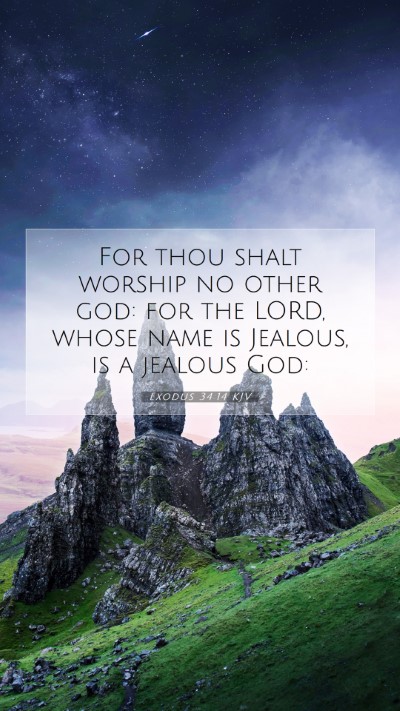 Picture 07 - Exodus 34:14 KJV Mobile Phone Wallpaper - For thou shalt worship no other god: for the - Mobile Bible Verse Wallpaper