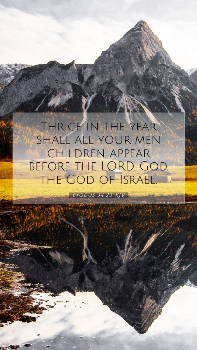 Picture 07 - Exodus 34:23 KJV Mobile Phone Wallpaper - Thrice in the year shall all your men children - Mobile Bible Verse Wallpaper