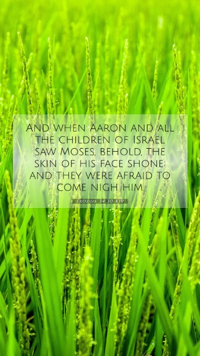 Picture 07 - Exodus 34:30 KJV Mobile Phone Wallpaper - And when Aaron and all the children of Israel saw - Mobile Bible Verse Wallpaper