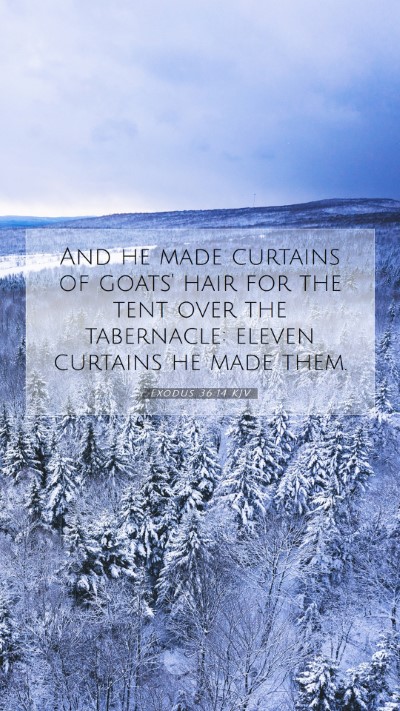 Picture 07 - Exodus 36:14 KJV Mobile Phone Wallpaper - And he made curtains of goats' hair for the tent - Mobile Bible Verse Wallpaper