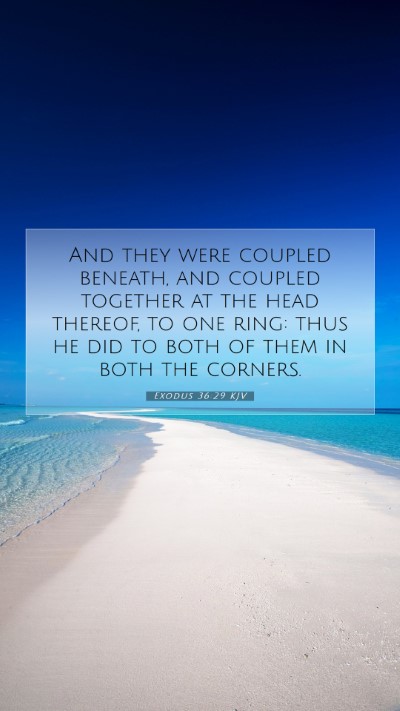 Picture 07 - Exodus 36:29 KJV Mobile Phone Wallpaper - And they were coupled beneath, and coupled - Mobile Bible Verse Wallpaper