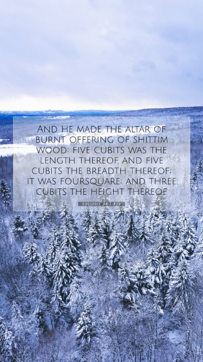 Picture 07 - Exodus 38:1 KJV Mobile Phone Wallpaper - And he made the altar of burnt offering of - Mobile Bible Verse Wallpaper