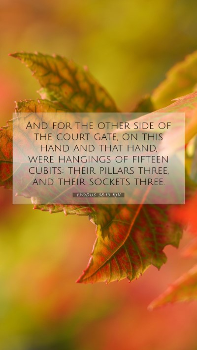 Picture 07 - Exodus 38:15 KJV Mobile Phone Wallpaper - And for the other side of the court gate, on this - Mobile Bible Verse Wallpaper