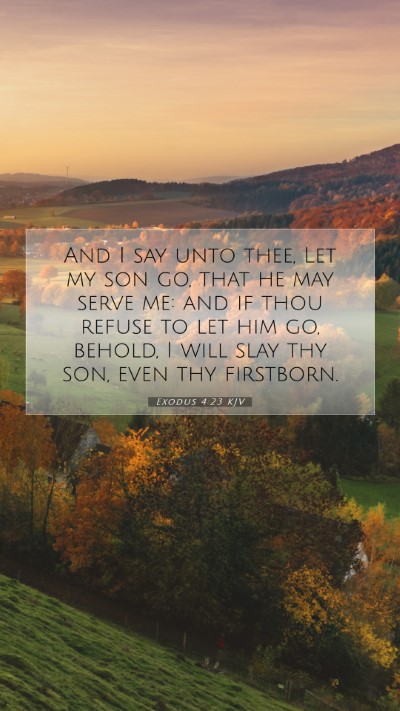 Picture 07 - Exodus 4:23 KJV Mobile Phone Wallpaper - And I say unto thee, Let my son go, that he may - Mobile Bible Verse Wallpaper