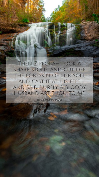 Picture 07 - Exodus 4:25 KJV Mobile Phone Wallpaper - Then Zipporah took a sharp stone, and cut off the - Mobile Bible Verse Wallpaper