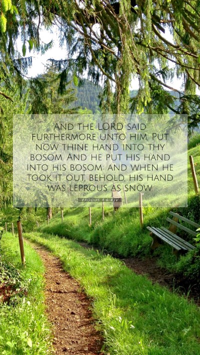Picture 07 - Exodus 4:6 KJV Mobile Phone Wallpaper - And the LORD said furthermore unto him, Put now - Mobile Bible Verse Wallpaper