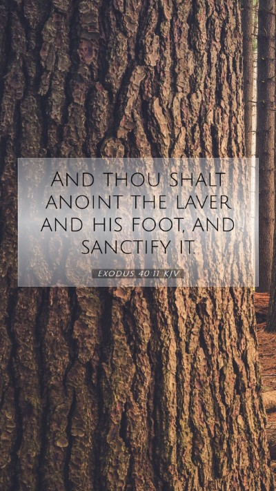Picture 07 - Exodus 40:11 KJV Mobile Phone Wallpaper - And thou shalt anoint the laver and his foot, and - Mobile Bible Verse Wallpaper