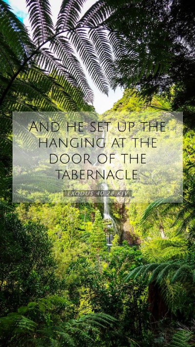 Picture 07 - Exodus 40:28 KJV Mobile Phone Wallpaper - And he set up the hanging at the door of the - Mobile Bible Verse Wallpaper