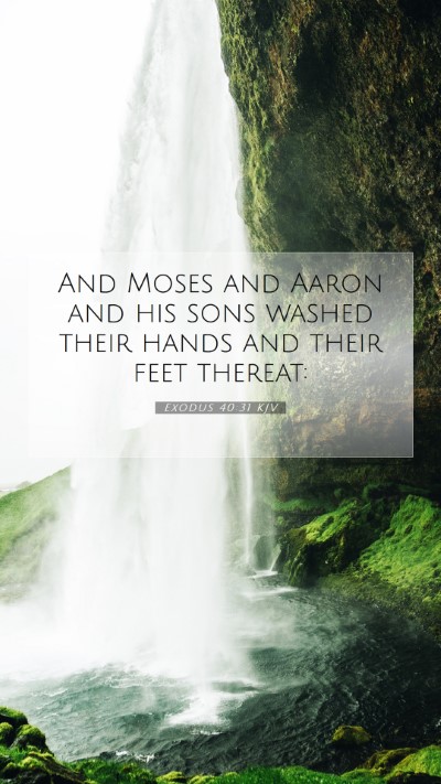 Picture 07 - Exodus 40:31 KJV Mobile Phone Wallpaper - And Moses and Aaron and his sons washed their - Mobile Bible Verse Wallpaper